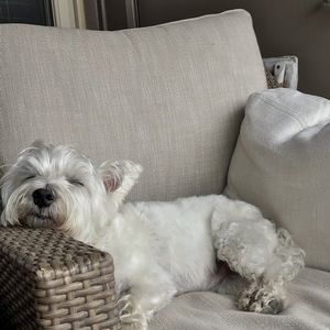 Meet your Posher, Travis